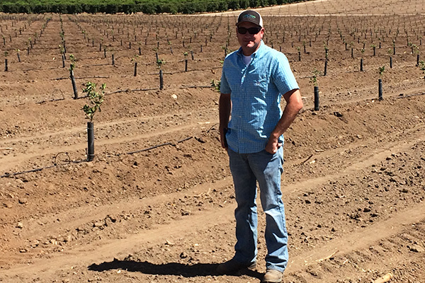 Farmer standing in a field