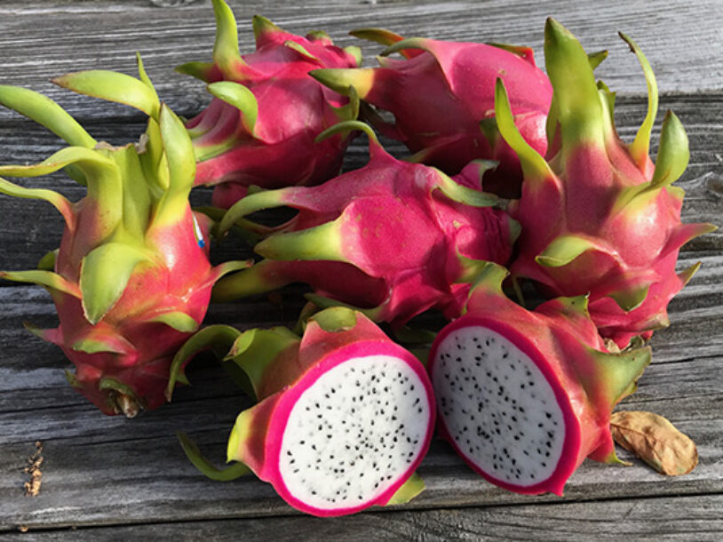 Unique Fruits Bring Global Flavors to Your Office