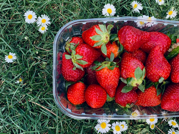 2026 Spring Fruit Guide: What’s In Season Now?