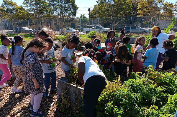 Kids in a farm garden filled with raised beds