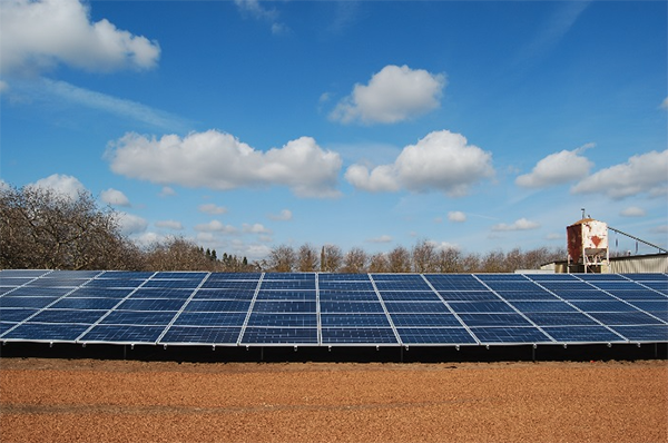 Solar panels in a farm field