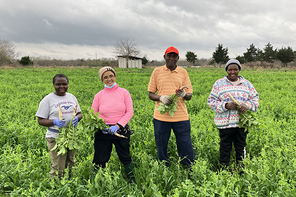 Four farmers holding vegetables in a field