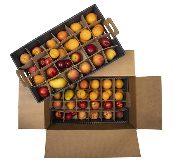 Box of fruit with two cardboard trays inside, fruit separated by cardboard dividers