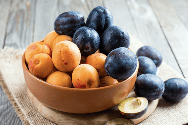 Plums and apricots in a bowl