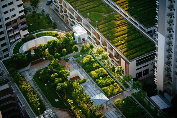 Rooftop garden on an office building