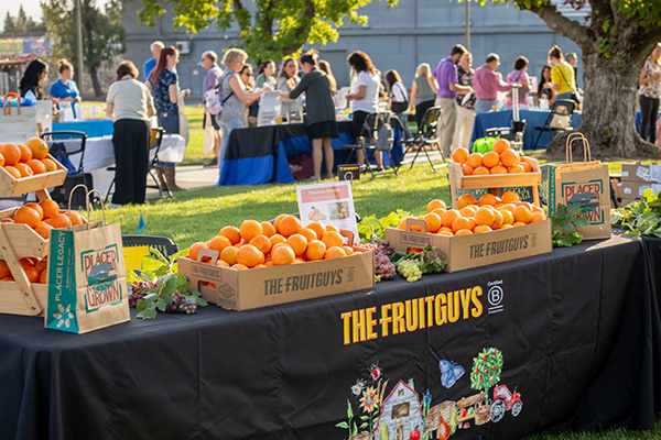 Table of The FruitGuys fresh fruit
