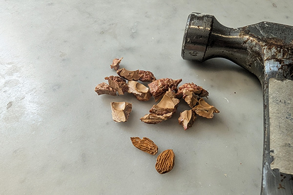 Cracked pit with a hammer