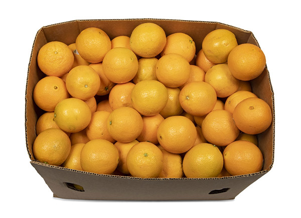 bulk case of oranges