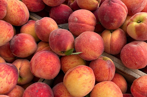 Fresh peaches