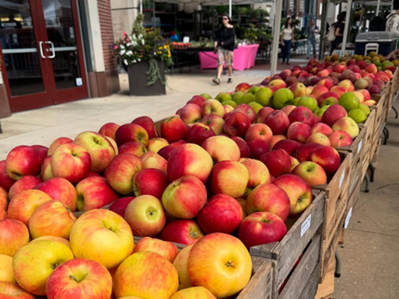4 Summer Apples Worth Tasting