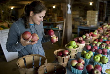 Woman holding apples from a market table