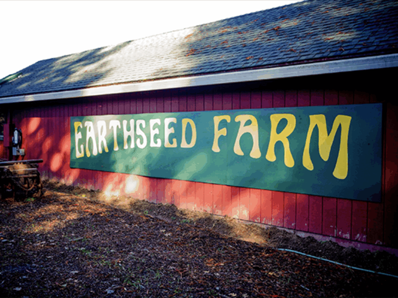 Meet Earthseed: A California Fruit Farm in Harmony with Nature