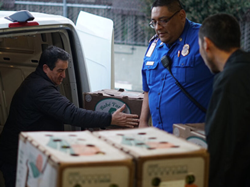 The FruitGuys Delivers Fresh Groceries to 200 Federal Workers