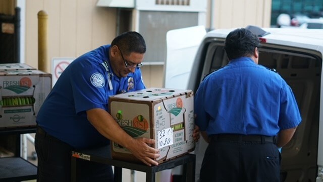 Airport workers unloading boxes of fresh produce from van