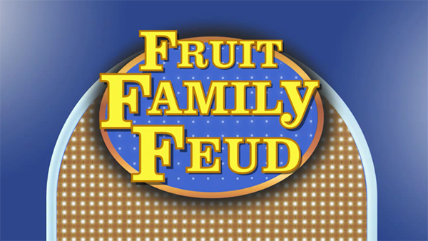 Fruit Family Feud logo