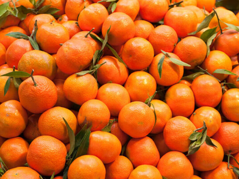 What’s the Difference Between a Clementine and a Mandarin?