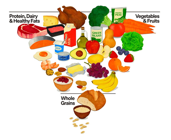 Food pyramid full of drawings of food with Protein, Dairy, & Healthy Fats top left, Vegetables & Fruits top right, and Whole Grains at the bottom