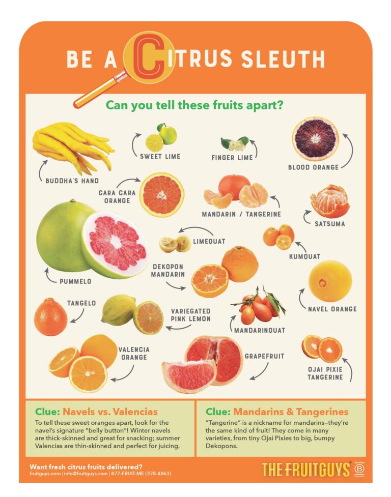 Your Guide to Different Citrus Fruits: Be a Citrus Sleuth