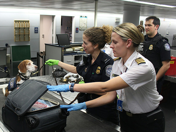 The FruitGuys Delivers Free Groceries to Over 5,000 Federal Workers