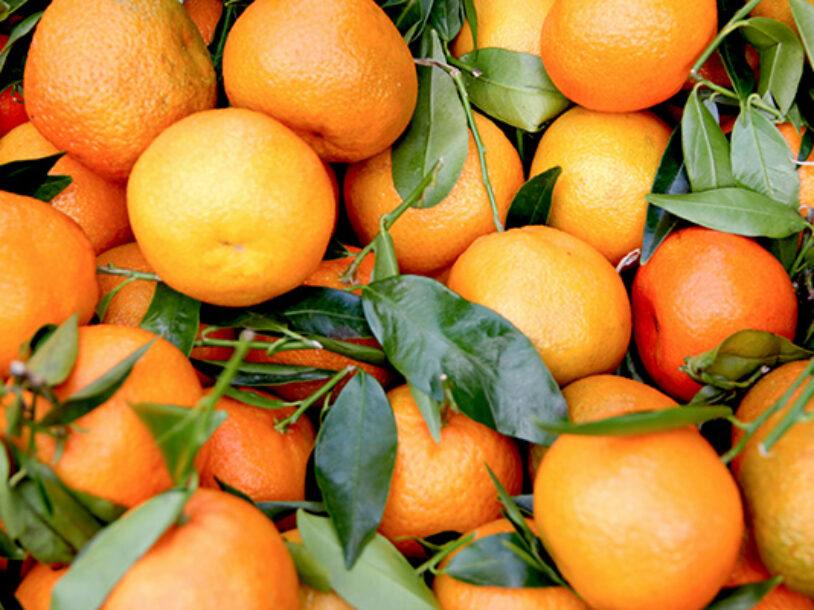 Peel Back the Health Benefits of Clementines