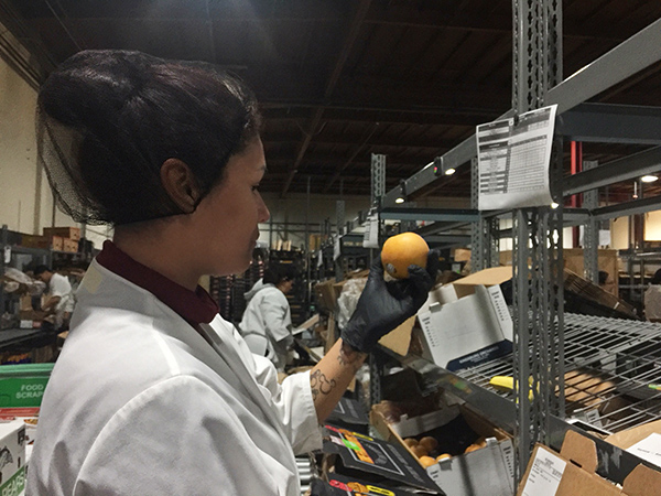 Woman inspecting fresh fruit on a packing line