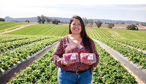 Smiling woman holding clamshells of strawberries in a farm field