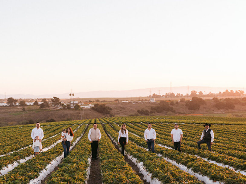 Meet Better Produce: A Family-Owned California Berry Farm