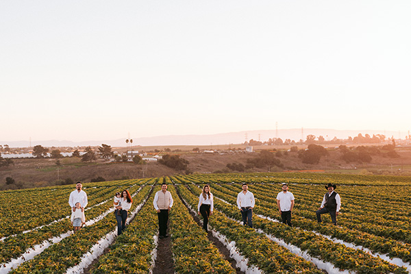 Family of farmers in a strawberry field