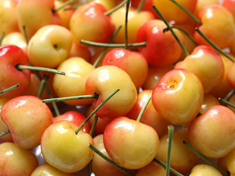 The Delicious Health Benefits of Rainier Cherries