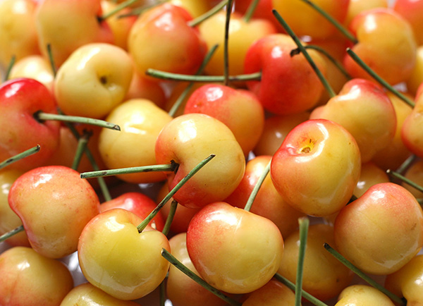 Fresh Rainier cherries