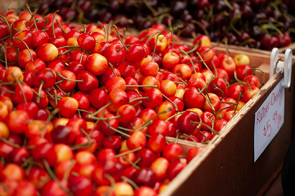 display of rainier cherries for sale