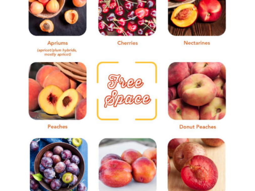Let's Play Summer Fruit Bingo! (Free Bingo Card)
