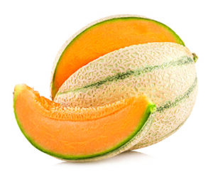 cantaloupe melon isolated on white background