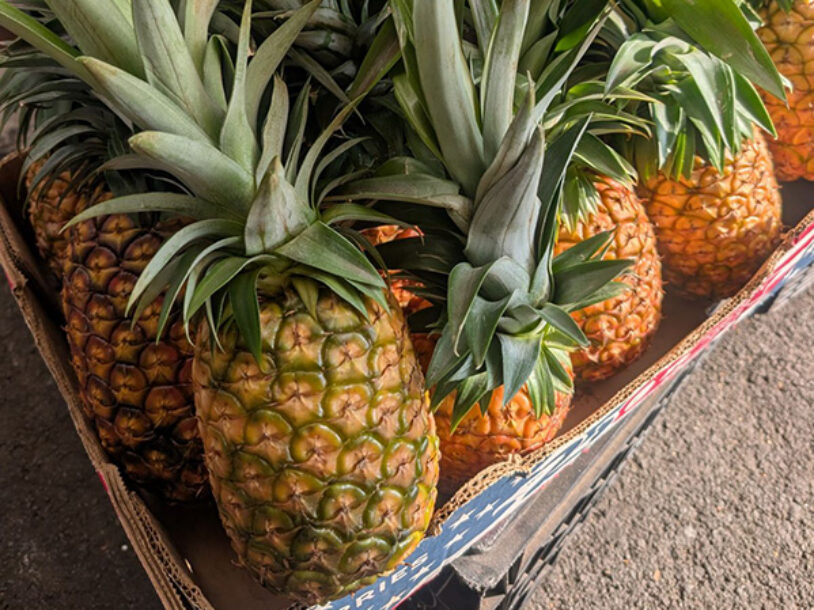 Box of fresh pineapple