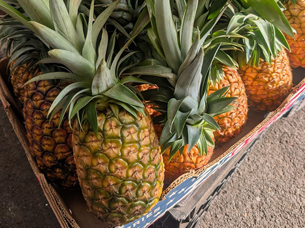 Box of fresh pineapple