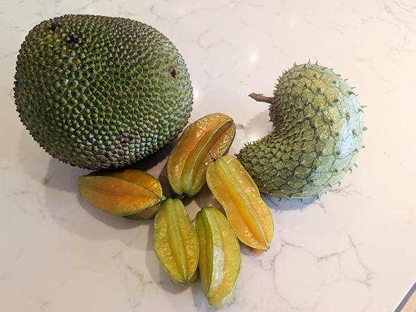 Variety of fresh tropical fruits