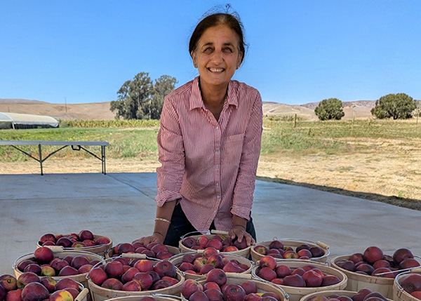 Smiling women with buckets of fresh apples