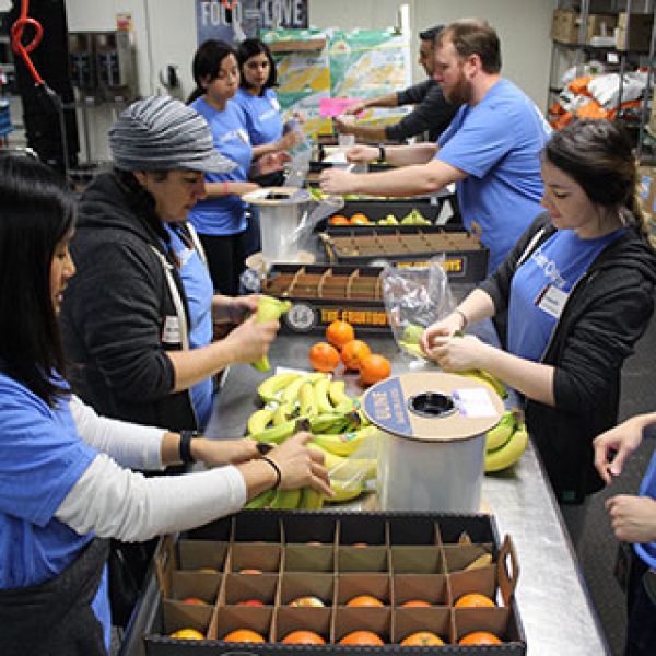 project-open-hand-volunteers sorting donated fruit