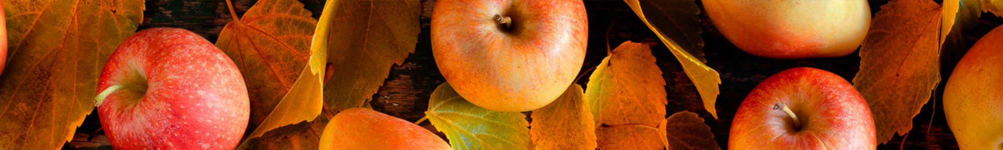 Homepage_Banner_FallApples Homepage_Banner_FallApples