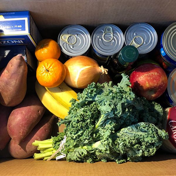 MealKit-Sample-Box