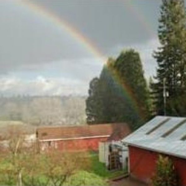 Gabriel Farm