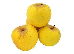 Yellow Apple Isolated On The White Background