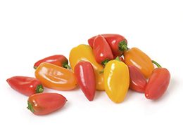 Sweet Minis Several Sweet Mini peppers on white background