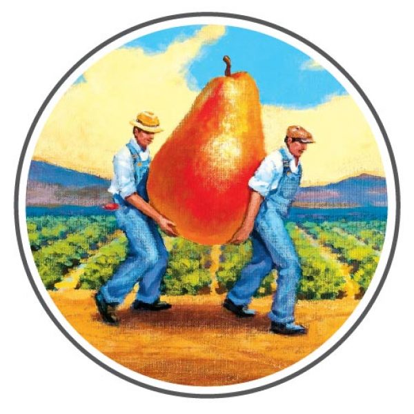 pear-guys_4C